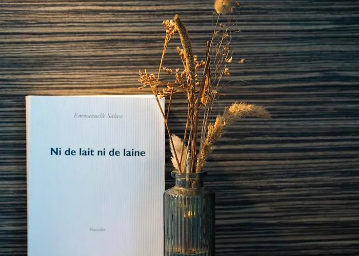 Du Midi Palavas-les-Flots